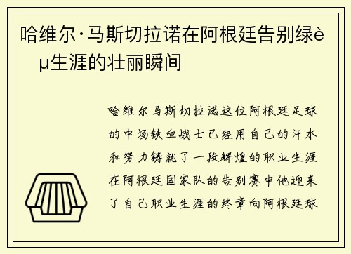 哈维尔·马斯切拉诺在阿根廷告别绿茵生涯的壮丽瞬间 哈维尔·马斯切拉诺在阿根廷告别绿茵生涯的壮丽瞬间